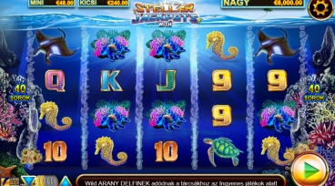 Stellar Jackpots With Dolphin Gold 