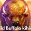 bet365 Játékok: Wild Buffalo kihívás
